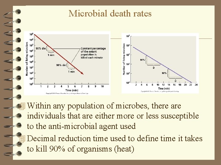 Microbial death rates 4 Within any population of microbes, there are individuals that are