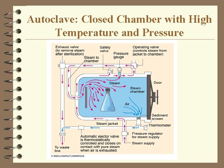 Autoclave: Closed Chamber with High Temperature and Pressure 