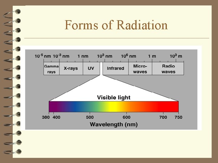 Forms of Radiation 
