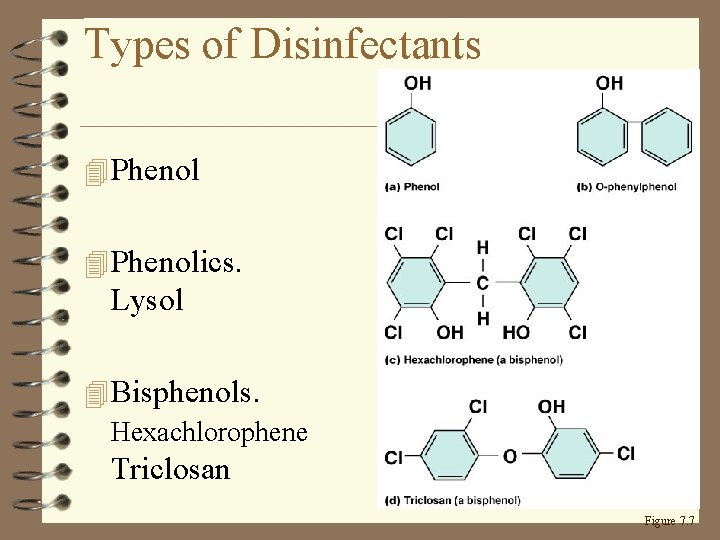 Types of Disinfectants 4 Phenolics. Lysol 4 Bisphenols. Hexachlorophene Triclosan Figure 7. 7 