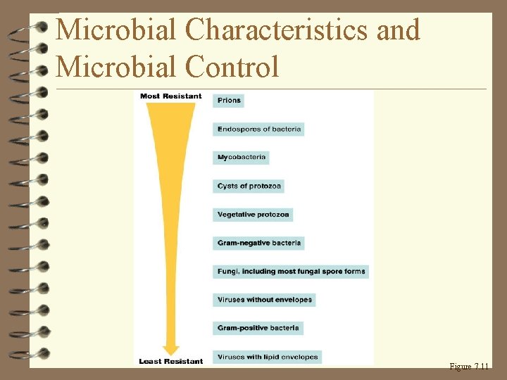 Microbial Characteristics and Microbial Control Figure 7. 11 