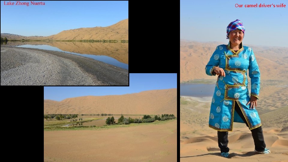 Our camel driver’s wife 