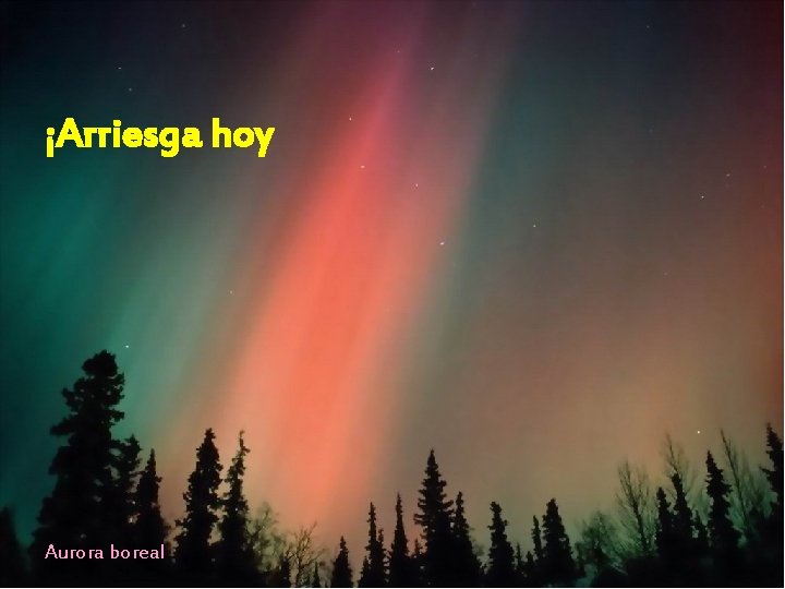 ¡Arriesga hoy Aurora boreal 