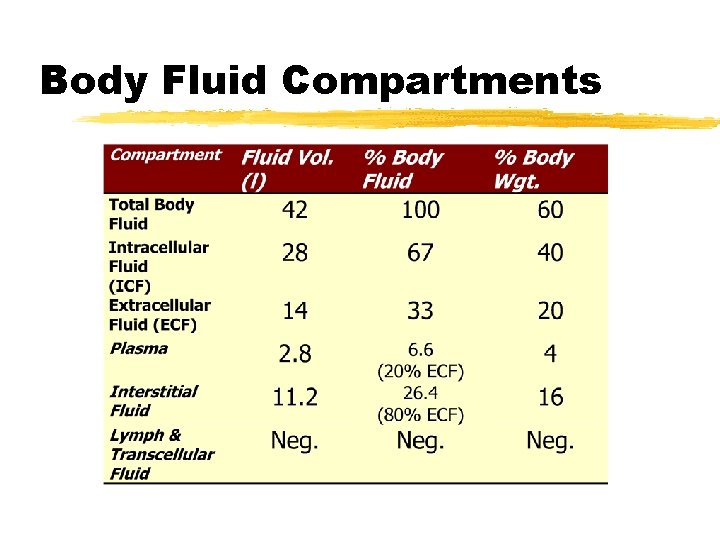 Body Fluid Compartments 
