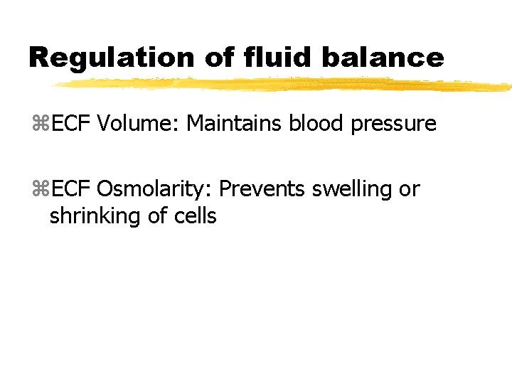Regulation of fluid balance z. ECF Volume: Maintains blood pressure z. ECF Osmolarity: Prevents