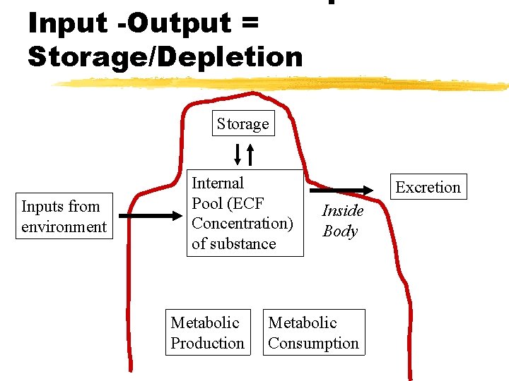 Input -Output = Storage/Depletion Storage Inputs from environment Internal Pool (ECF Concentration) of substance