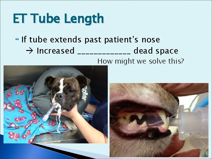 ET Tube Length If tube extends past patient’s nose Increased _______ dead space How