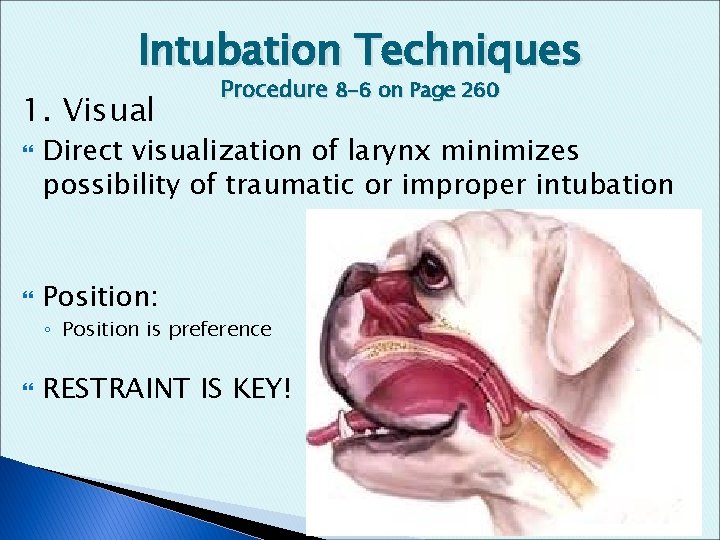 Intubation Techniques 1. Visual Procedure 8 -6 on Page 260 Direct visualization of larynx