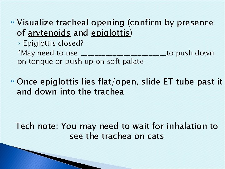  Visualize tracheal opening (confirm by presence of arytenoids and epiglottis) ◦ Epiglottis closed?