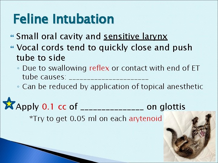 Feline Intubation Small oral cavity and sensitive larynx Vocal cords tend to quickly close