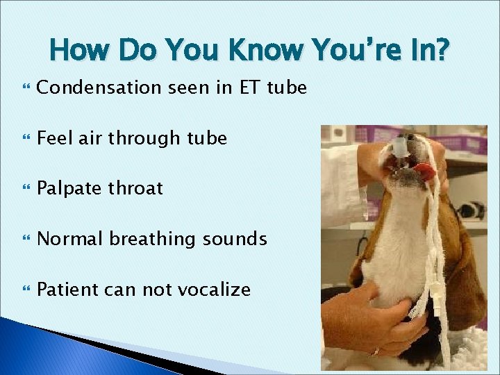 How Do You Know You’re In? Condensation seen in ET tube Feel air through