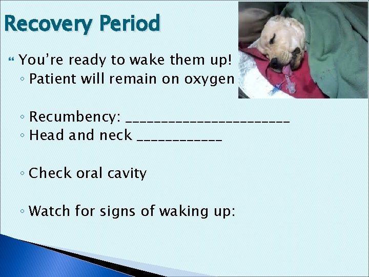 Recovery Period You’re ready to wake them up! ◦ Patient will remain on oxygen