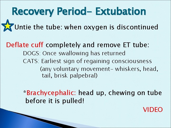 Recovery Period- Extubation Untie the tube: when oxygen is discontinued Deflate cuff completely and