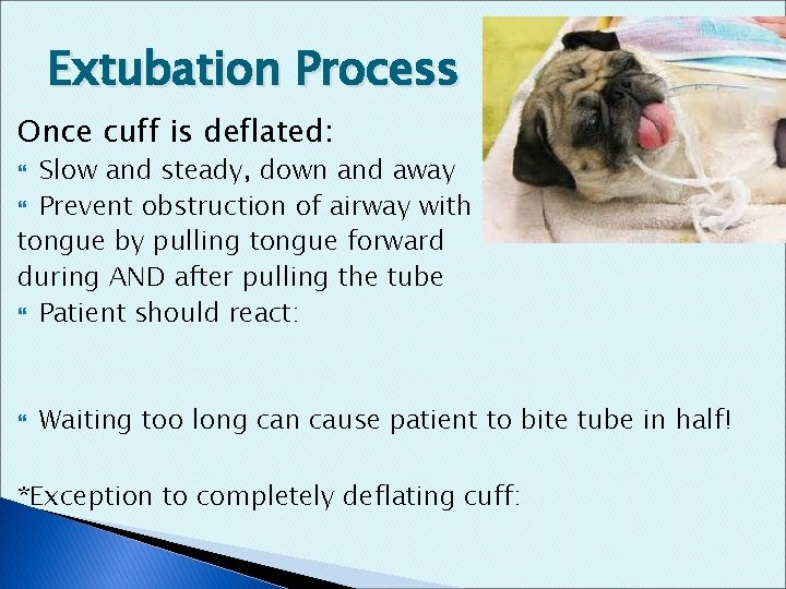 Extubation Process Once cuff is deflated: Slow and steady, down and away Prevent obstruction