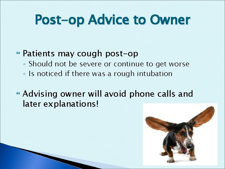 Post-op Advice to Owner Patients may cough post-op ◦ Should not be severe or