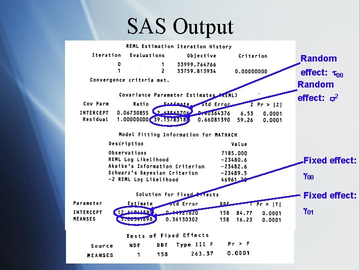 SAS Output Random effect: 00 Random effect: 2 Fixed effect: 00 Fixed effect: 01