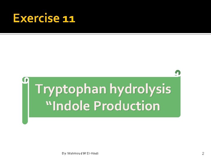 Exercise 11 Tryptophan hydrolysis “Indole Production By: Mahmoud W El-Hindi 2 