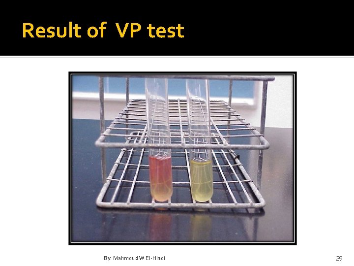 Result of VP test By: Mahmoud W El-Hindi 29 