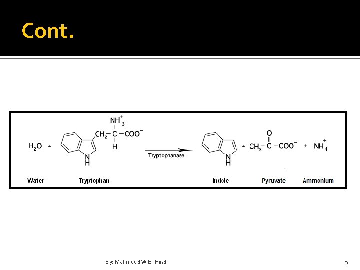 Cont. By: Mahmoud W El-Hindi 5 