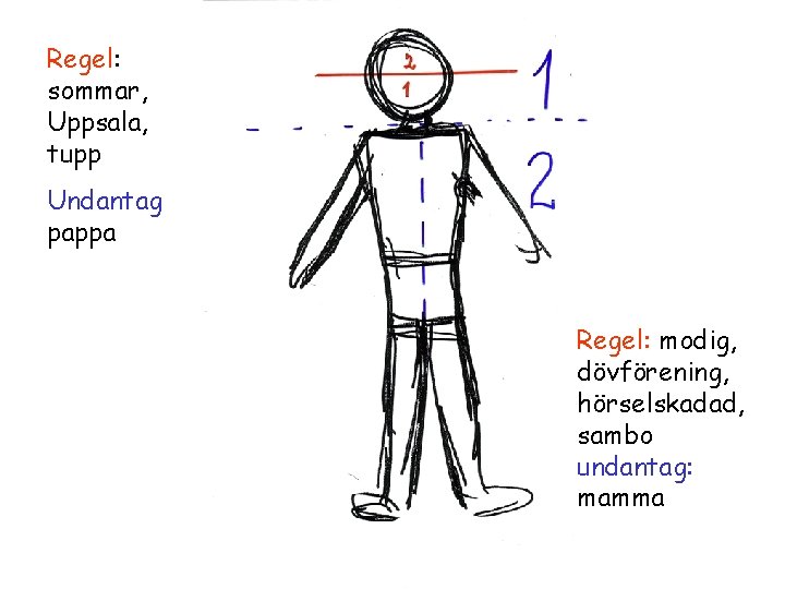 Regel: sommar, Uppsala, tupp Undantag pappa Regel: modig, dövförening, hörselskadad, sambo undantag: mamma 