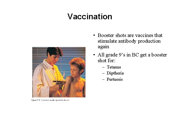 Vaccination • Booster shots are vaccines that stimulate antibody production again • All grade
