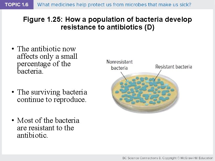 Figure 1. 25: How a population of bacteria develop resistance to antibiotics (D) •