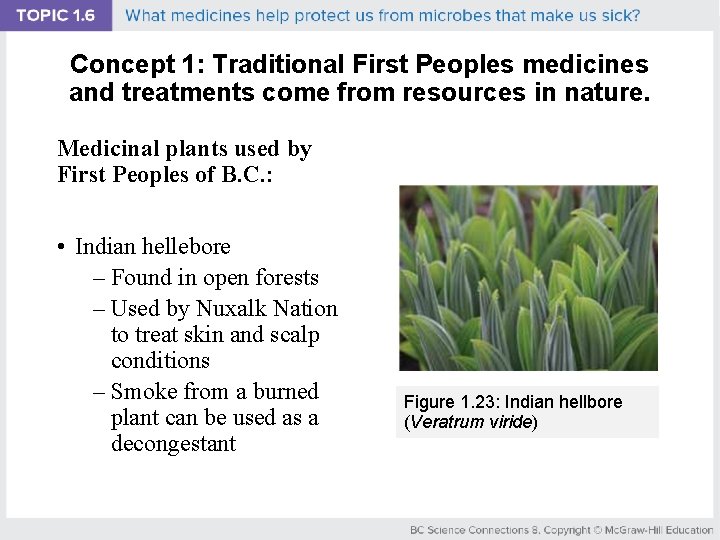 Concept 1: Traditional First Peoples medicines and treatments come from resources in nature. Medicinal