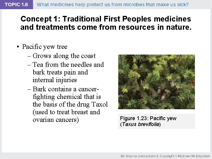 Concept 1: Traditional First Peoples medicines and treatments come from resources in nature. •
