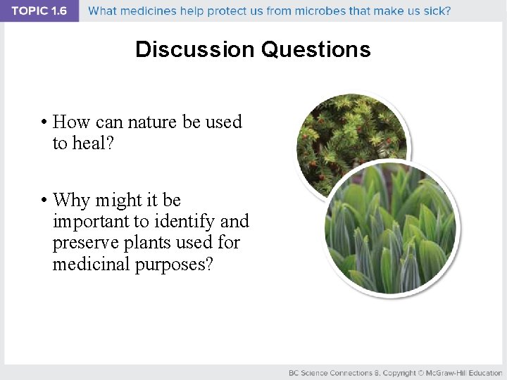 Discussion Questions • How can nature be used to heal? • Why might it