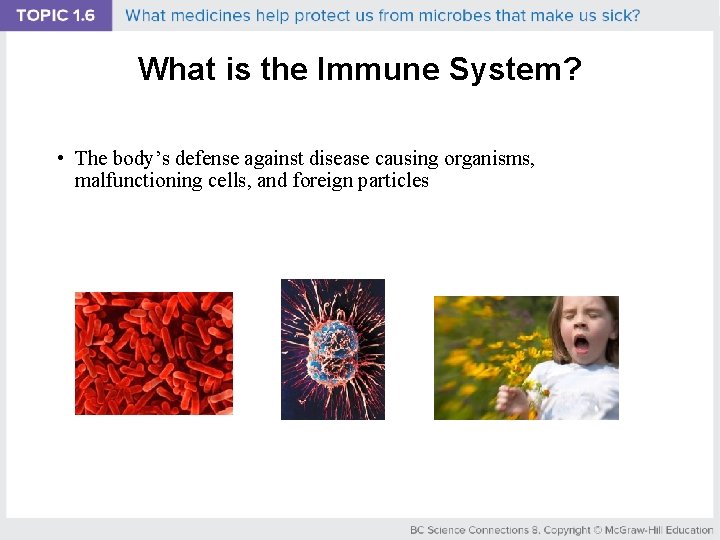 What is the Immune System? • The body’s defense against disease causing organisms, malfunctioning