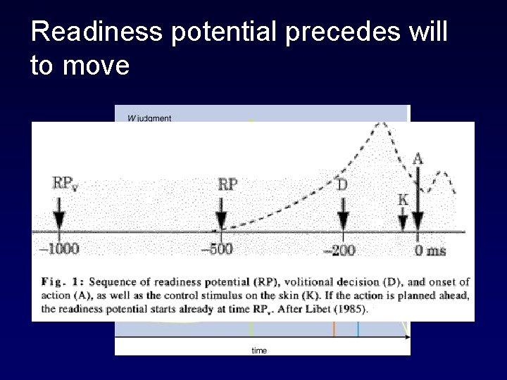 Readiness potential precedes will to move 