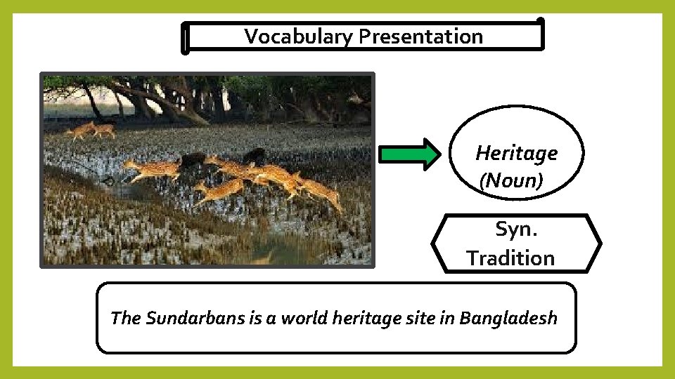 Vocabulary Presentation Heritage (Noun) Syn. Tradition The Sundarbans is a world heritage site in