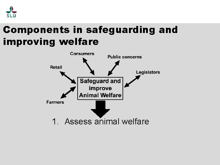 Components in safeguarding and improving welfare 1. Assess animal welfare 