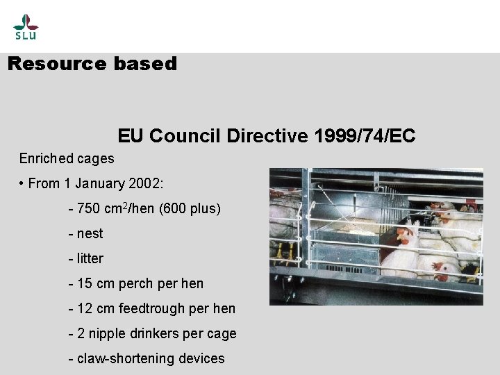 Resource based EU Council Directive 1999/74/EC Enriched cages • From 1 January 2002: -