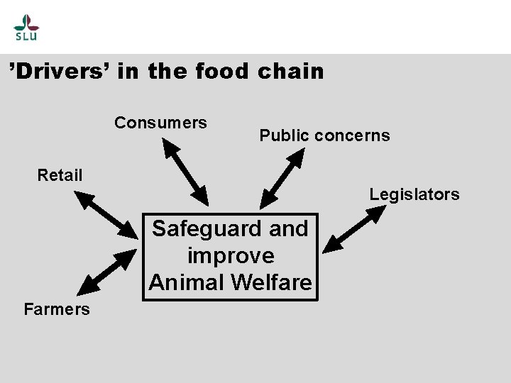 ’Drivers’ in the food chain Consumers Public concerns Retail Legislators Safeguard and improve Animal