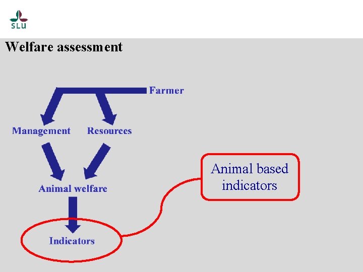 Welfare assessment Animal based indicators 