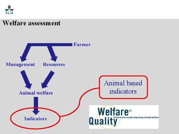 Welfare assessment Animal based indicators 