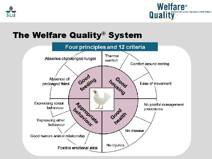 The Welfare Quality® System 