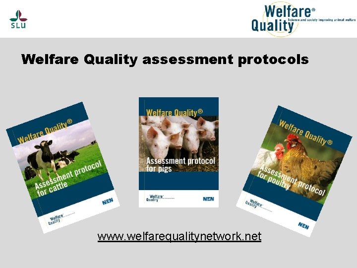 Welfare Quality assessment protocols www. welfarequalitynetwork. net 