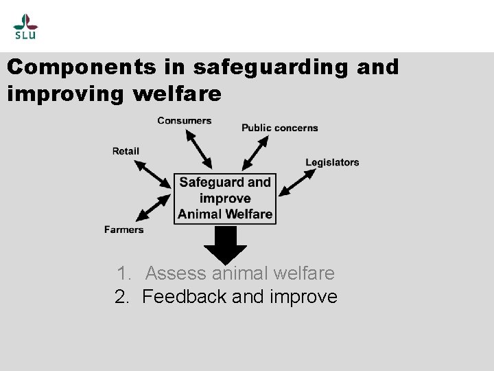 Components in safeguarding and improving welfare 1. Assess animal welfare 2. Feedback and improve