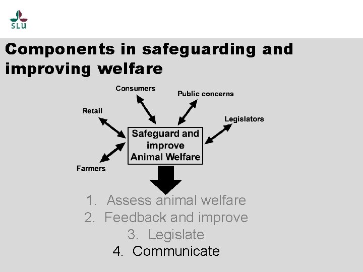 Components in safeguarding and improving welfare 1. Assess animal welfare 2. Feedback and improve