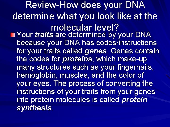 Review-How does your DNA determine what you look like at the molecular level? Your