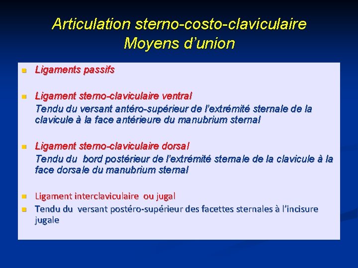 Articulation sterno-costo-claviculaire Moyens d’union n Ligaments passifs n Ligament sterno-claviculaire ventral Tendu du versant