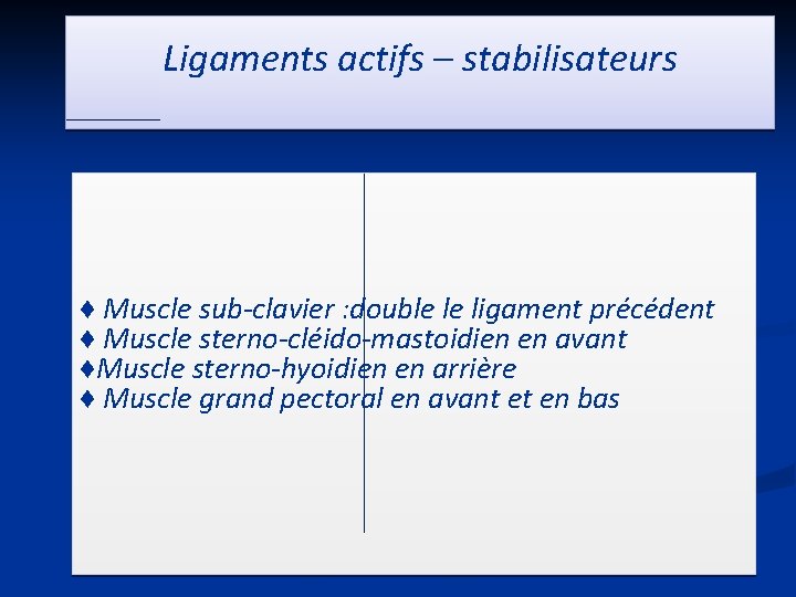 Ligaments actifs – stabilisateurs ♦ Muscle sub-clavier : double le ligament précédent ♦ Muscle