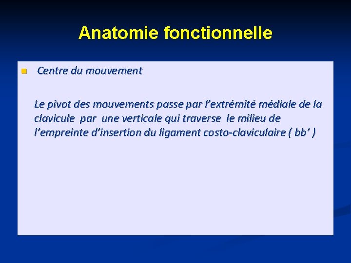 Anatomie fonctionnelle n Centre du mouvement Le pivot des mouvements passe par l’extrémité médiale