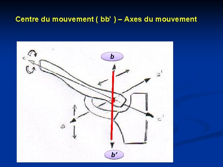 Centre du mouvement ( bb’ ) – Axes du mouvement b b’ 