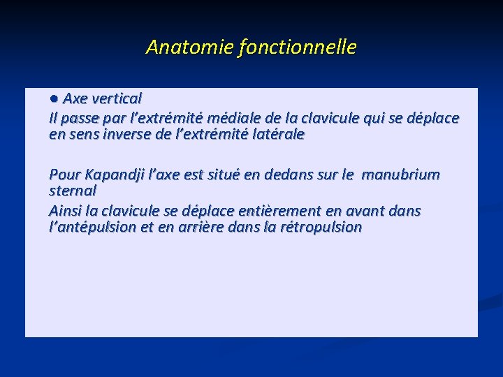 Anatomie fonctionnelle ● Axe vertical Il passe par l’extrémité médiale de la clavicule qui