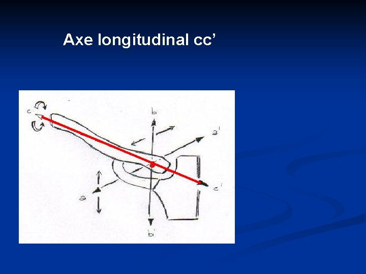 Axe longitudinal cc’ 