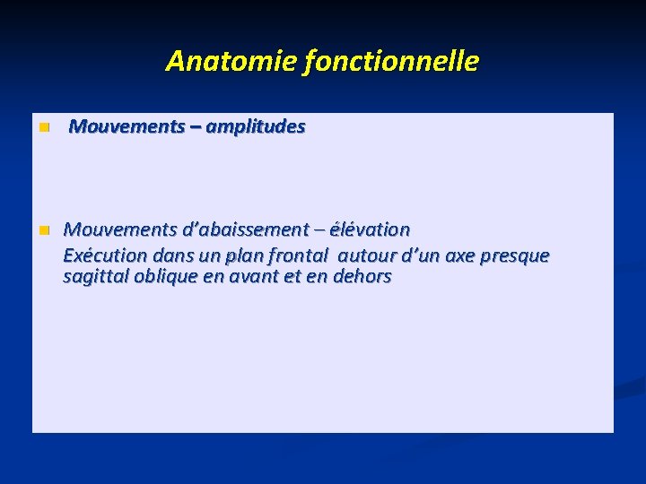 Anatomie fonctionnelle n n Mouvements – amplitudes Mouvements d’abaissement – élévation Exécution dans un