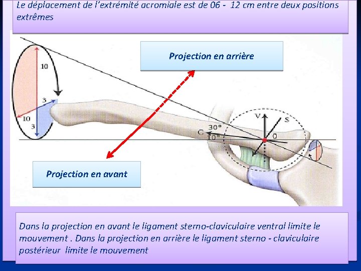 Le déplacement de l’extrémité acromiale est de 06 - 12 cm entre deux positions